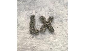 鈦毛細管 - 細節(jié)展示